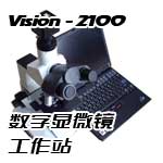 VISION 2100΢